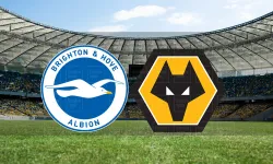 Selçuksports HD | Brighton - Wolverhampton maçı canlı izle