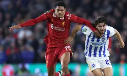 Selçuksports HD | Liverpool - Brighton & Hove Albion maçı canlı izle