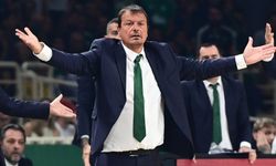 Ataman'dan tepki: "Şunu merak ediyorum, takımlarında kaç tane Yunan oyuncu oynuyor?
