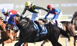 87. Cumhurbaşkanlığı Koşusu Şampiyonu Grande Flusso Oldu