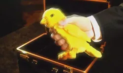 Beşiktaş’tan Fenerbahçe paylaşımı gündem oldu!