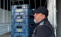 Fenerbahçeli Taraftar, Domates Kasalarına N'Golo Kante Yazdırdı