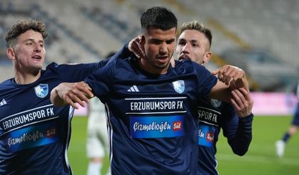 Erzurumspor, seriyi devam ettirdi
