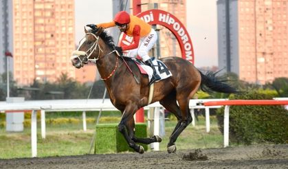 19 Mayıs Koşusu'nda Metin Oktay formasıyla kazandı