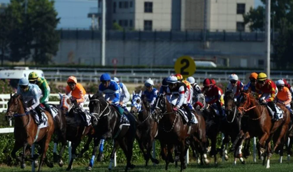 Gazi Koşusu'nun galibi Cutha!