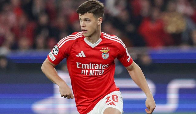 Samuel Dahl: "Fenerbahçe üretken değildi"