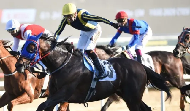 87. Cumhurbaşkanlığı Koşusu Şampiyonu Grande Flusso Oldu