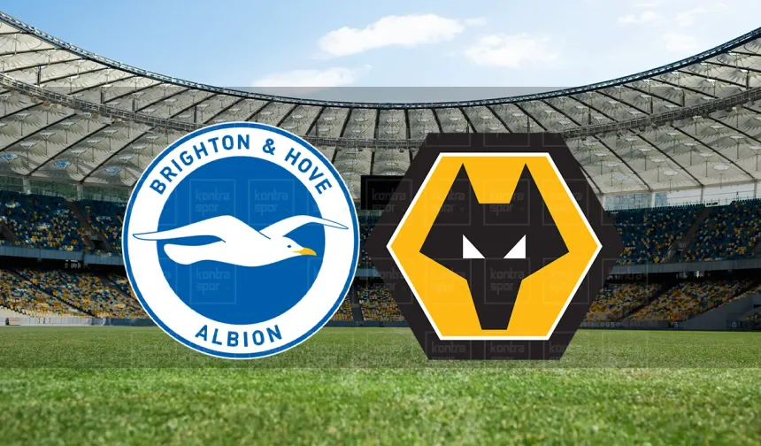 Selçuksports HD | Brighton - Wolverhampton maçı canlı izle