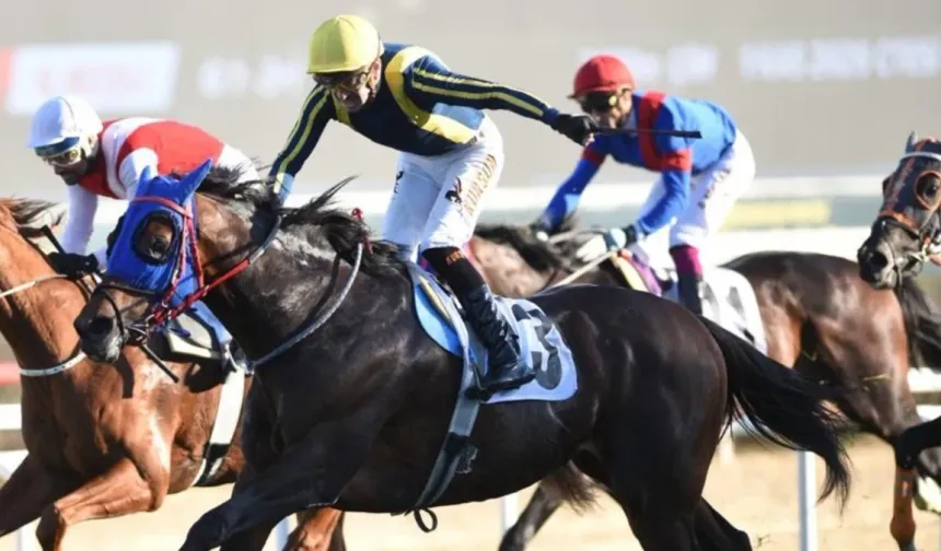 87. Cumhurbaşkanlığı Koşusu Şampiyonu Grande Flusso Oldu